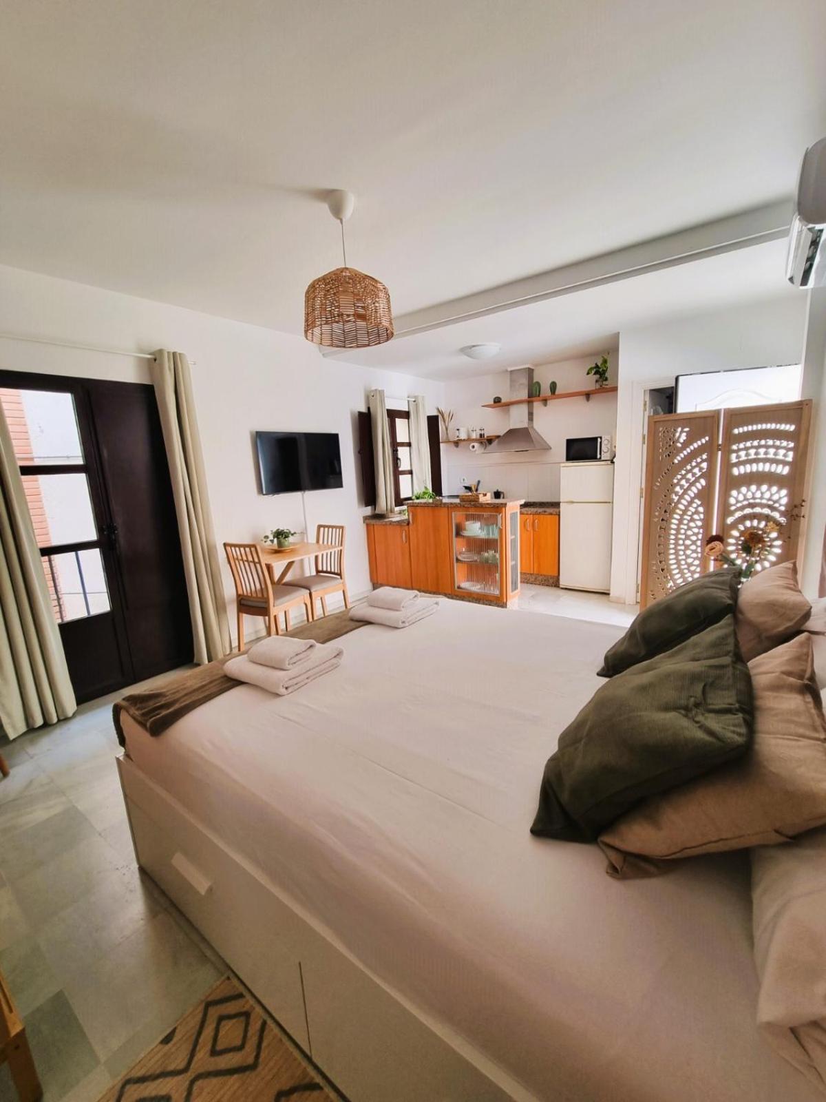 Apartment Estudio San Esteban *